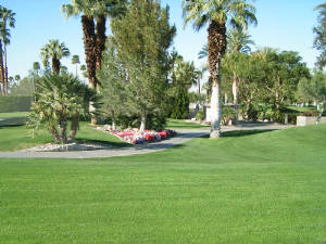 pict0007.jpg